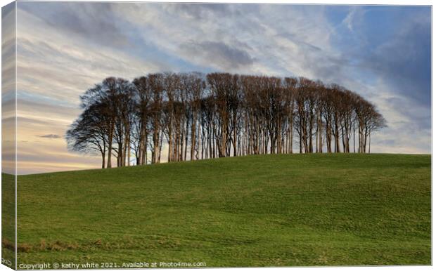 Nearly Home Trees, Coming home trees, Cornwall tre Canvas Print by kathy white