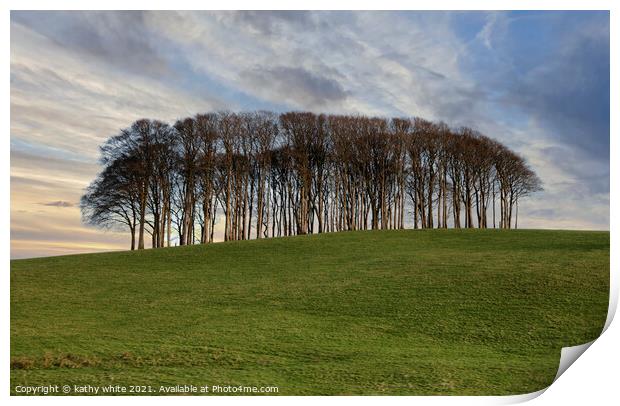 Nearly Home Trees, Coming home trees, Cornwall tre Print by kathy white