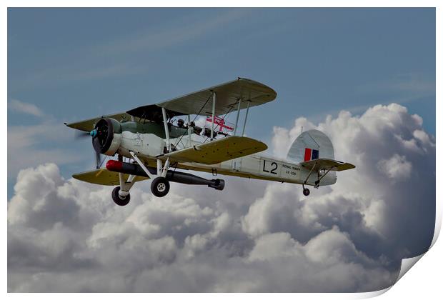 Royal Navy Swordfish Print by Oxon Images