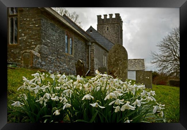 Snowdrops at Oare Church Framed Print by graham young