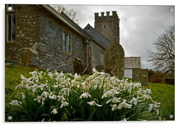 Snowdrops at Oare Church Acrylic by graham young