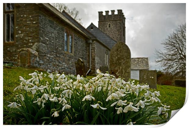 Snowdrops at Oare Church Print by graham young
