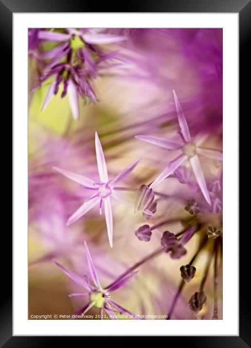 Dreamy, Ethereal 'Stars Of Persia' Framed Mounted Print by Peter Greenway