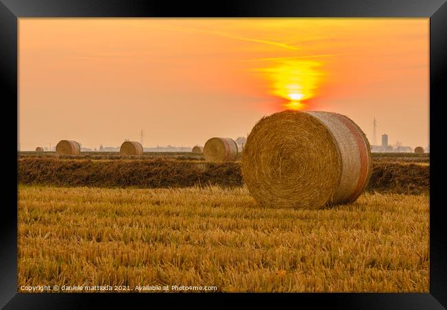 close-up of a hay cylindrical bale in a farmland Framed Print by daniele mattioda