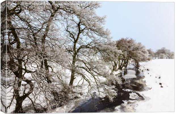 Peak District Country Snow Scene Canvas Print by Pearl Bucknall