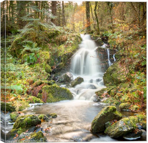A Sunlit Forest Autumn Waterfall - Snowdonia Lands Canvas Print by Christine Smart