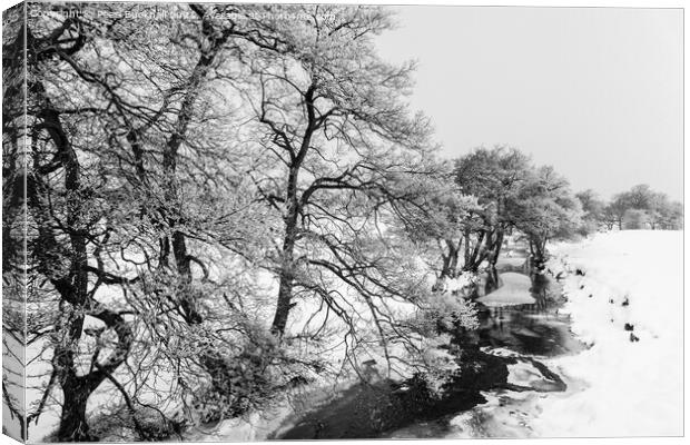 Peak District Winter Snow Scene Canvas Print by Pearl Bucknall