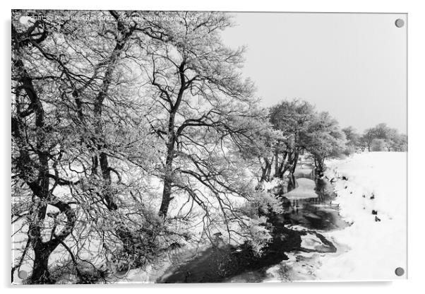 Peak District Winter Snow Scene Acrylic by Pearl Bucknall