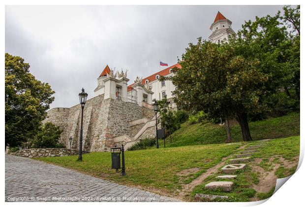 The park at the base of the steps at Bratislava Castle, Slovakia Print by SnapT Photography