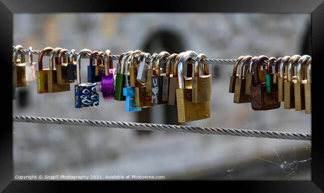 Close up of the padlocks on Butchers Bridge in old medieval Ljubljana, Slovenia Framed Print by SnapT Photography