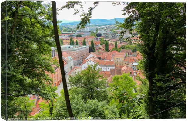 A view through the trees from the view point on Ljubljana Castle, Slovenia Canvas Print by SnapT Photography
