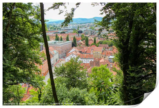A view through the trees from the view point on Ljubljana Castle, Slovenia Print by SnapT Photography