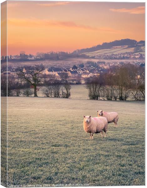 Herdy on watch  Canvas Print by Jonny Gios