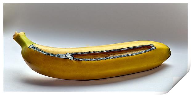 Banana with a Zip Print by Peter Blunn