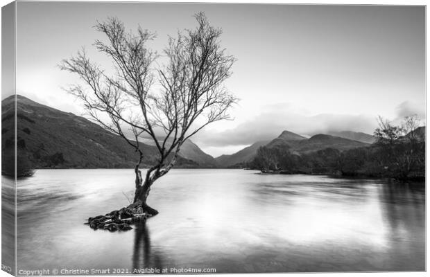 Lone Tree Sunset Long Exposure at Llyn Padarn, Llanberis- Snowdonia, North Wales Monochrome/Black and White Canvas Print by Christine Smart
