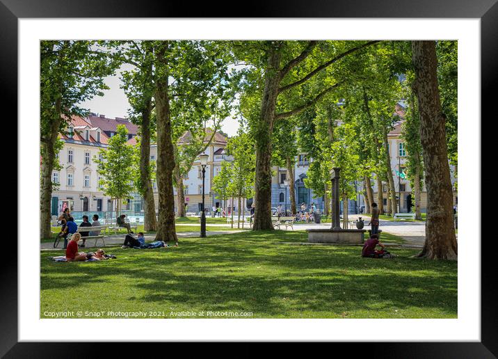 The park at Congress Square in the center of Ljubljana on a summer day, Slovenia Framed Mounted Print by SnapT Photography