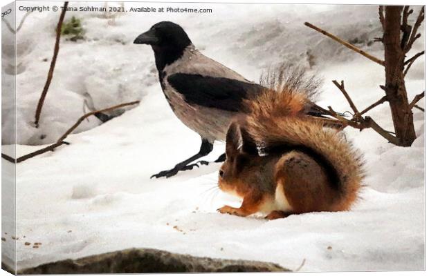 Squirrel, Hooded Crow and Food Canvas Print by Taina Sohlman