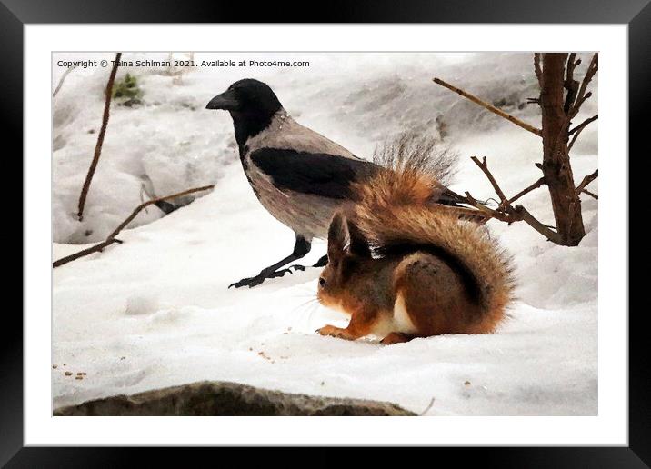 Squirrel, Hooded Crow and Food Framed Mounted Print by Taina Sohlman