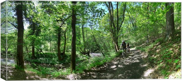 Bike Riders in the Wyre Forrest - Panorama Canvas Print by Philip Brown