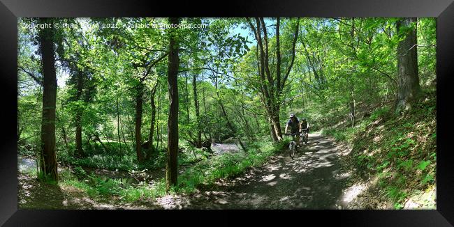 Bike Riders in the Wyre Forrest - Panorama Framed Print by Philip Brown