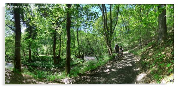 Bike Riders in the Wyre Forrest - Panorama Acrylic by Philip Brown