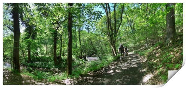 Bike Riders in the Wyre Forrest - Panorama Print by Philip Brown