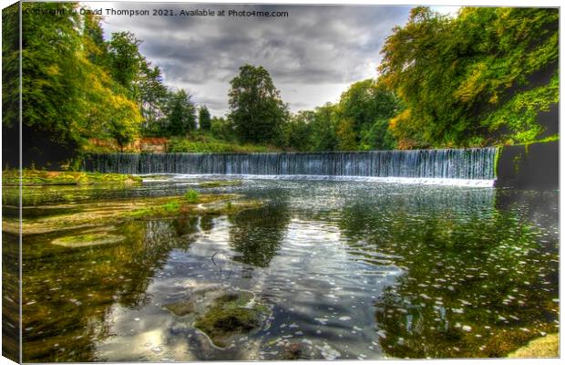 Guyzance Waterfall Acklington  Canvas Print by David Thompson