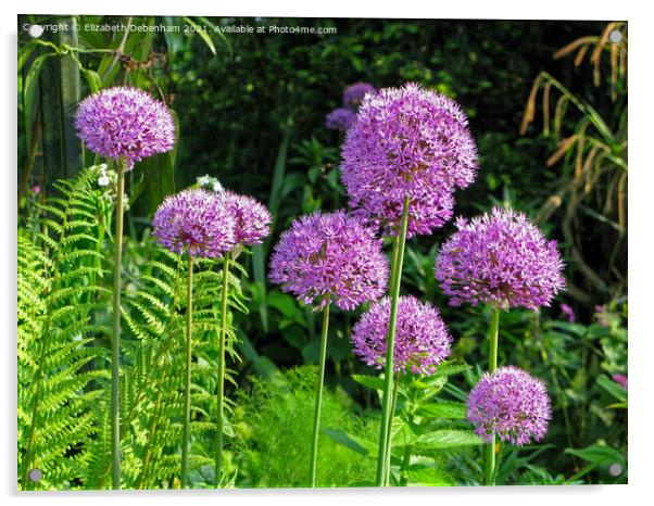 Purple Alliums Sensation and bees Acrylic by Elizabeth Debenham