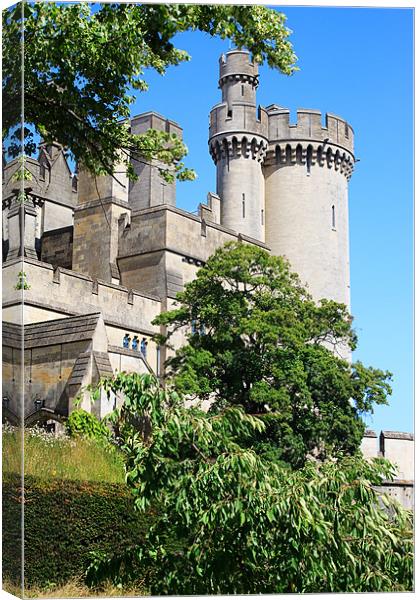 Arundel Castle and Grounds Canvas Print by Ian Jeffrey