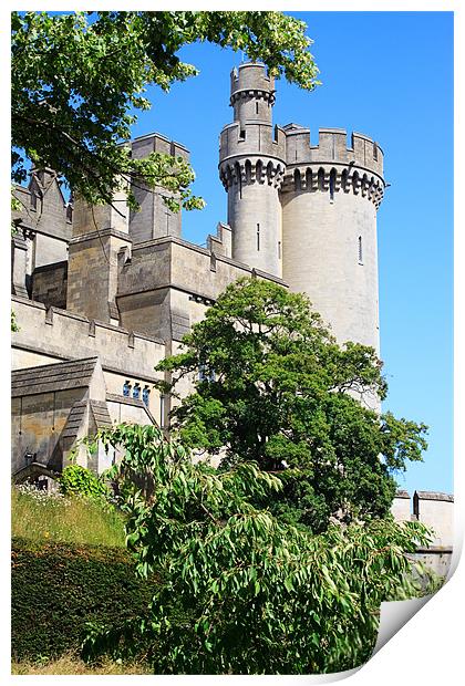 Arundel Castle and Grounds Print by Ian Jeffrey