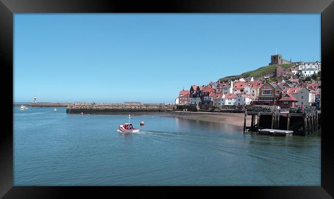Whitby Postcard Framed Print by Sarah Couzens