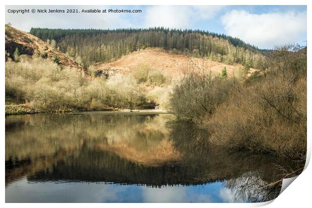 The Upper Pond at Clydach Vale in the Rhondda Fawr Print by Nick Jenkins
