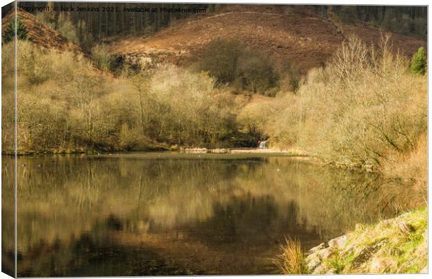 The Upper Pond Clydach Vale Rhondda Valley  Canvas Print by Nick Jenkins