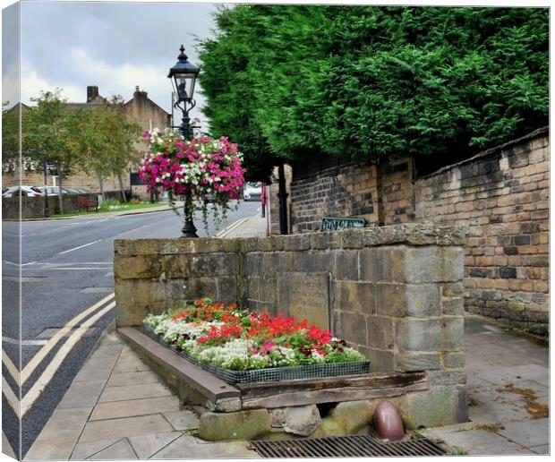 Old horse trough flowers in Honley  Holmfirth Canvas Print by Roy Hinchliffe