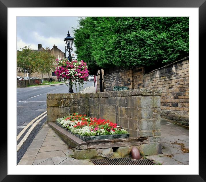 Old horse trough flowers in Honley  Holmfirth Framed Mounted Print by Roy Hinchliffe