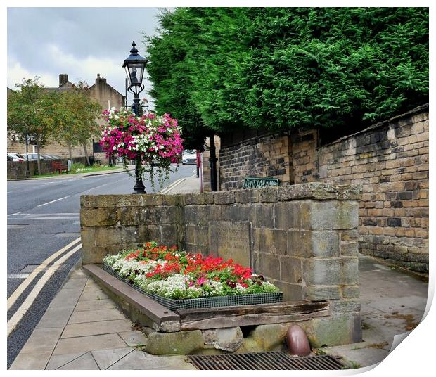 Old horse trough flowers in Honley  Holmfirth Print by Roy Hinchliffe
