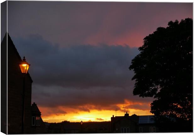Lamplight Sunset in Yorkshire Canvas Print by Roy Hinchliffe