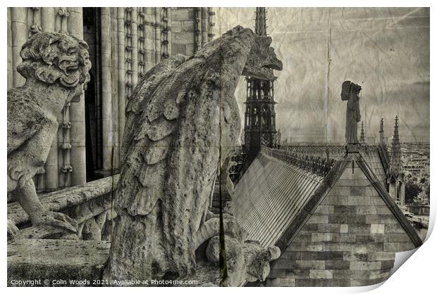 Paris from the Notre Dame de Paris  Print by Colin Woods