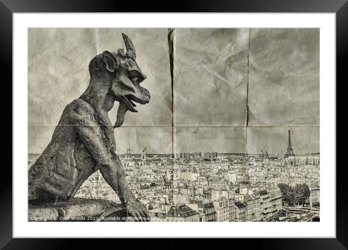 Paris from the Notre Dame de Paris   Framed Mounted Print by Colin Woods