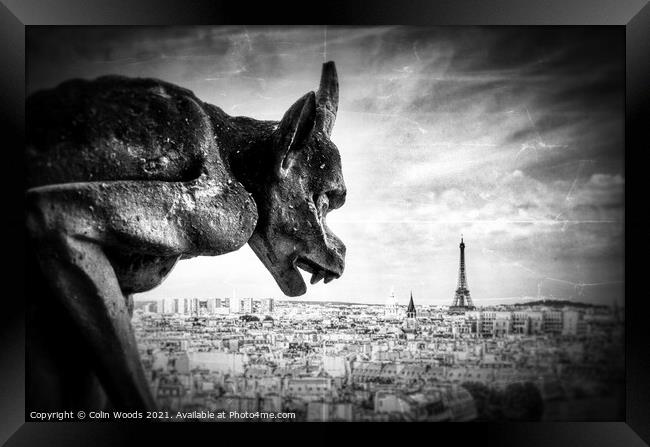 Paris from the Notre Dame de Paris  Framed Print by Colin Woods