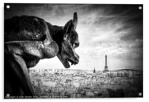 Paris from the Notre Dame de Paris  Acrylic by Colin Woods