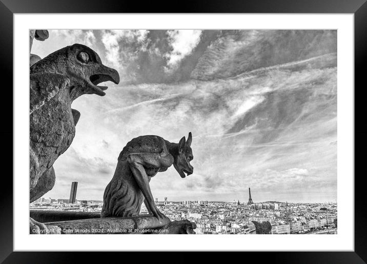 Paris from the Notre Dame de Paris  Framed Mounted Print by Colin Woods
