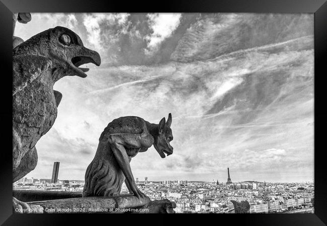 Paris from the Notre Dame de Paris  Framed Print by Colin Woods