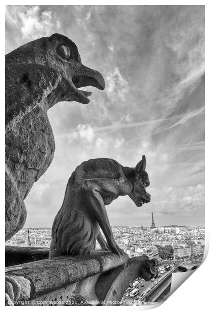 Paris from the Notre Dame de Paris  Print by Colin Woods