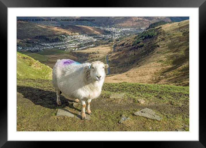 Rhondda would not be Rhondda without sheep Framed Mounted Print by Nick Jenkins