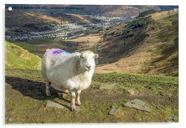 Rhondda would not be Rhondda without sheep Acrylic by Nick Jenkins