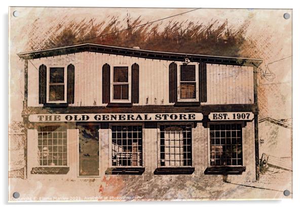 Old General Store 1907 Acrylic by Elaine Manley