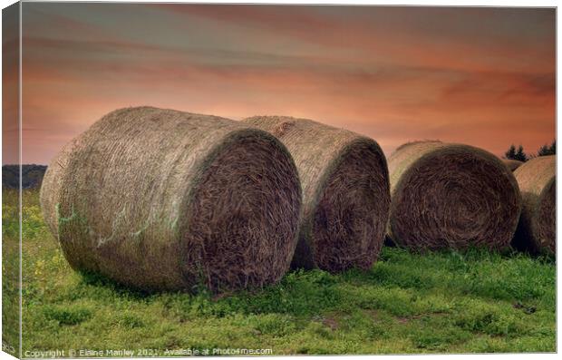 Bales of Hay  Canvas Print by Elaine Manley