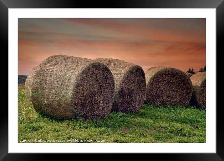 Bales of Hay  Framed Mounted Print by Elaine Manley