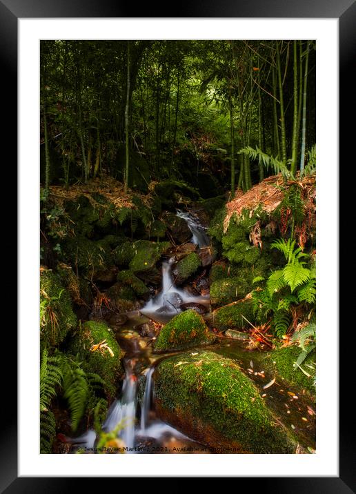 Enchanting Bamboo Waterfall in Galicia Framed Mounted Print by Jesus Martínez